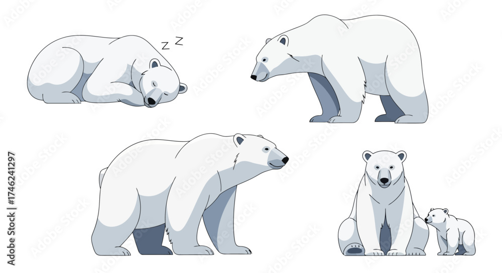 Fototapeta premium Vector illustration of polar bears in various poses, including sleeping, walking, sitting, and with a cub, white background