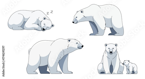 Vector illustration of polar bears in various poses, including sleeping, walking, sitting, and with a cub, white background