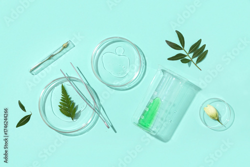 Petri dishes with plant sam...