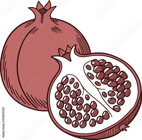 whole and halved pomegranate showing seeds with artistic texture and botanical detail