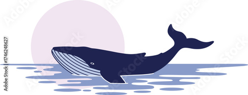 Blue whale swimming in calm ocean water at sunset, minimalist marine life illustration showing sea nature, wildlife, and tranquility concept.