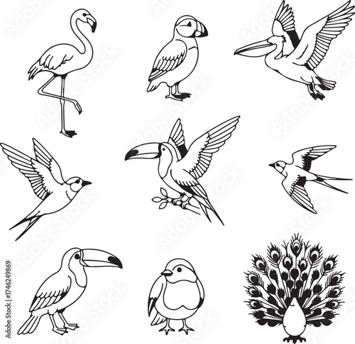 collection of birds