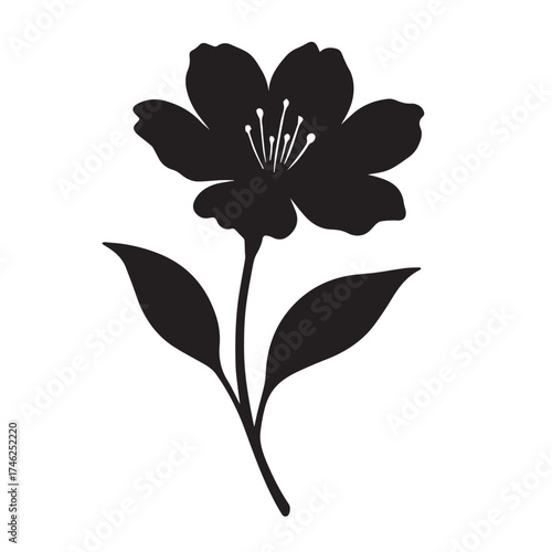 Flower Vegetable  silhouette on vector with white background