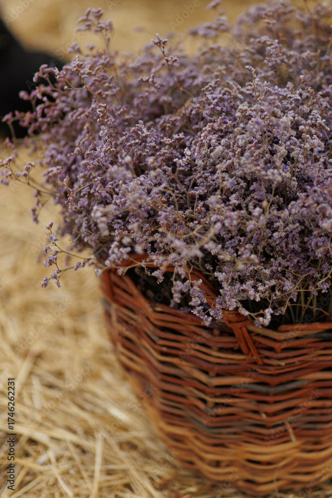 Fototapeta premium garden