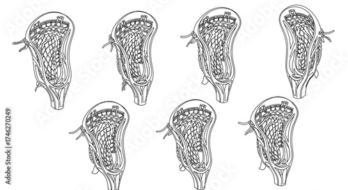 Vector art of detailed line drawing of lacrosse stick heads, displaying the intricate netting and design of sports equipment