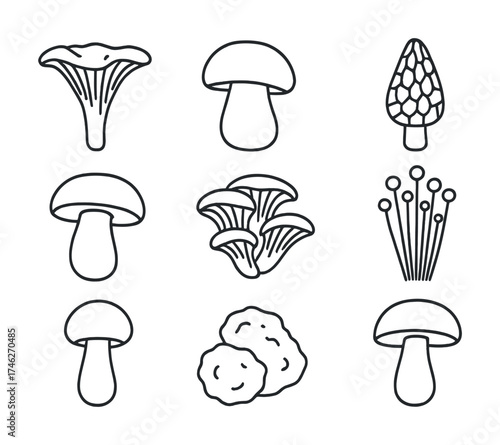 Vector Variety of mushroom icons in minimalist black and white design