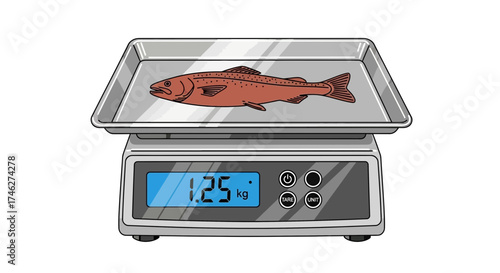 Fish on a digital scale displaying weight measurement in kilograms on white background.
