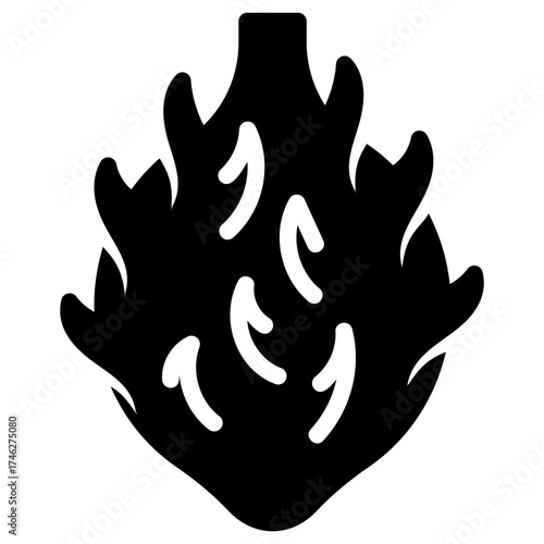 Dragon fruit icon