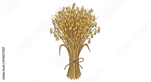 A bundle of golden wheat stalks tied together on a white background.