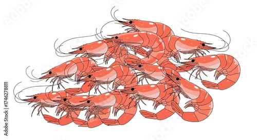 Pile of cooked shrimp prawns seafood crustaceans isolated on white background.