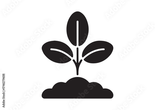 Young sprout with three leaves icon, Young sprout with three leaves solid vector