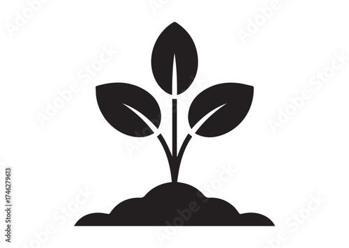 Young sprout with three leaves icon, Young sprout with three leaves solid vector