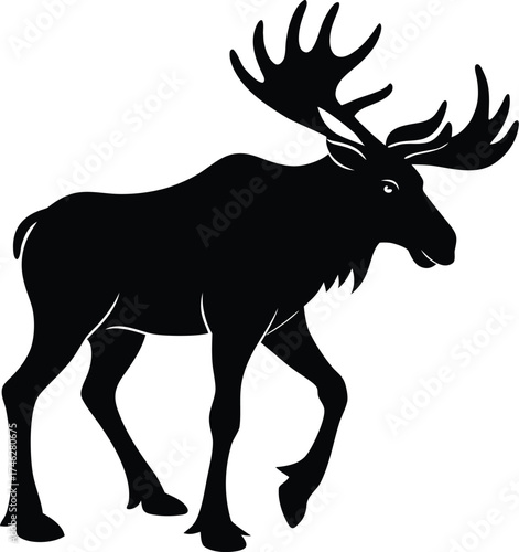 Majestic bull moose with large antlers walking in profile silhouette on white background