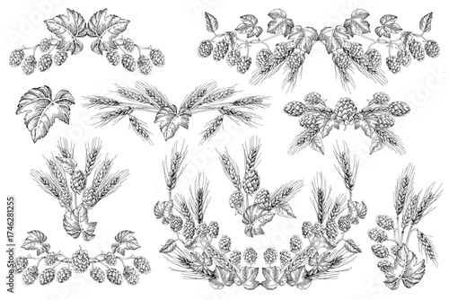 Hop and malt elements for beer branding