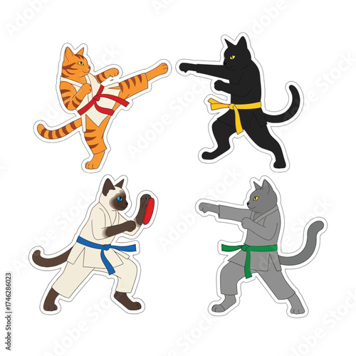 Four cartoon cats practicing martial arts, each wearing a different colored belt and in a fighting stance.