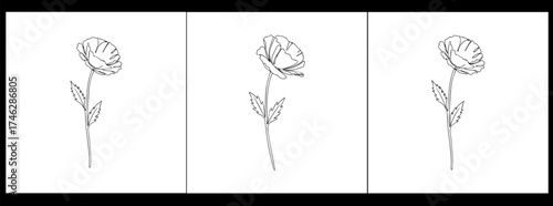 Poppy, Remembrance Day or Veterans Day Continuous Line Drawing with Editable Stroke and Copy Space, Abstract one line continuous poppy.Remembrance Day Flowers and Cross Remembering the Fallen Soldiers
