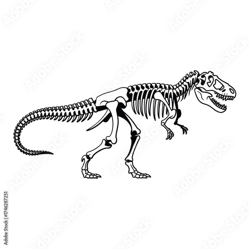 Detailed illustration of a tyrannosaurus rex dinosaur skeleton