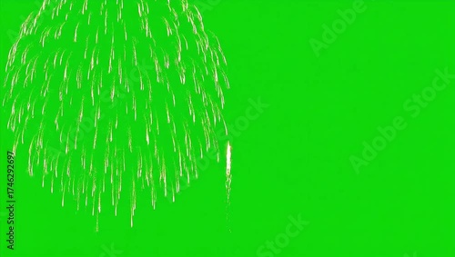 A celebratory white firework burst design, an isolated animation element for visual effects on a green screen for chroma key compositing