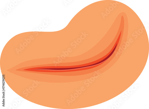Closed mouth slightly smiling showing upper teeth, simple cartoon illustration