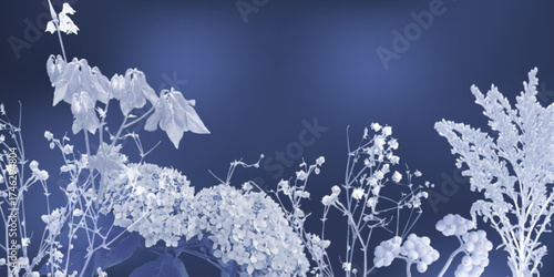 Cyanotype botanical pattern with bleach effect. Hydrangea, rowan berries, plants on deep blue background. Vector illustration of botanical print for vintage wall art. Monochrome nature photography