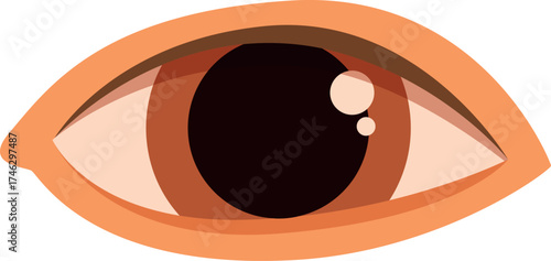 Brown eye staring with wide open eyelids, observing, watching, looking, gazing