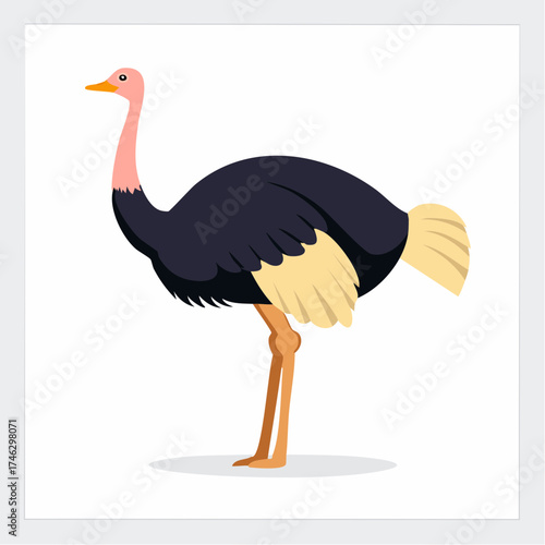 A charming cartoon ostrich with a pink neck standing in profile, a flat vector illustration isolated on a white background