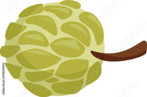 Ripe custard apple with green skin and brown stem, ready to be enjoyed for its sweet and unique flavor
