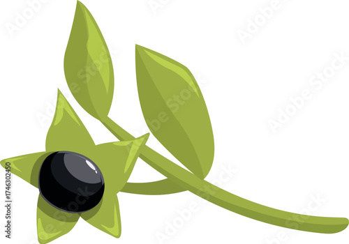 Wonderfully detailed cartoon style black nightshade sprig bearing one ripe berry and green leaves