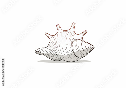 Detailed Illustration of a Spiked Conch Shell with Textured Surface.