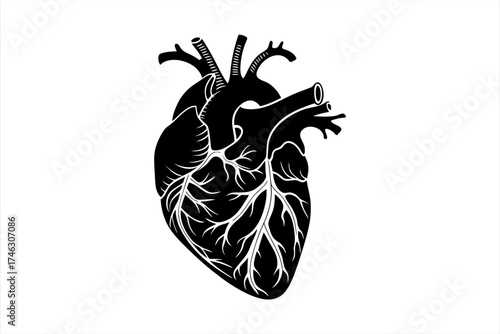 black anatomical heart vector on white background