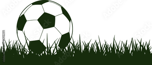 A classic soccer ball rests in the green grass, ready for a game