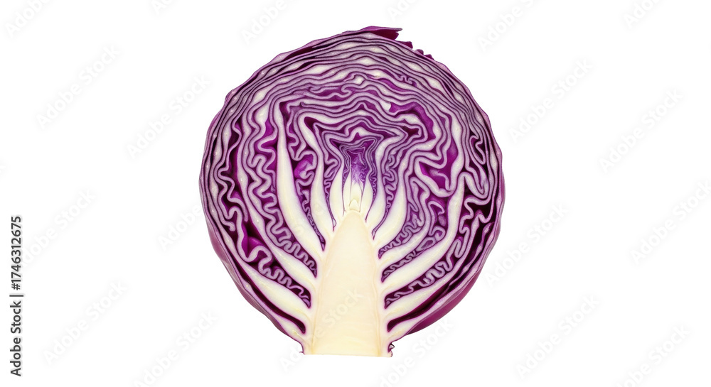 Obraz premium Isolated Half of Red Cabbage Vegetable with Cross Section Texture for Healthy Diet Vegan Food