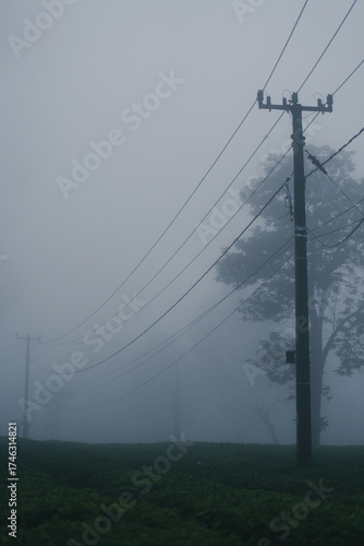 Eerie misty landscape with telephone poles evokes solitude and mystery, ideal for atmospheric designs or moody storytelling projects
