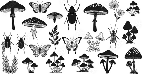 Black and white nature illustration, mushrooms, butterflies, beetles, botanical plants, vintage sketch, insect drawing, forest elements, hand drawn