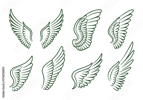 Collection of Stylized Wing Illustrations in Dark Green Outline