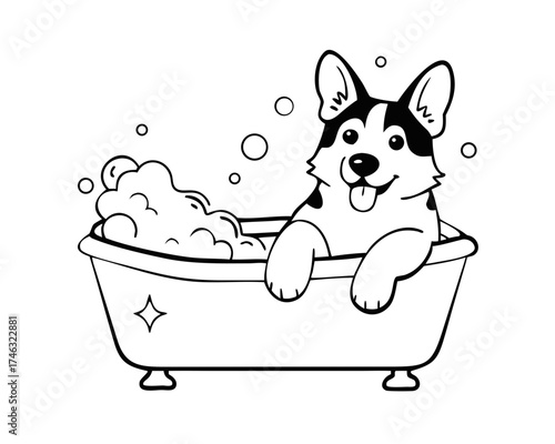 Funny portrait of a welsh corgi pembroke dog showering with shampoo. Dog taking a bubble bath in grooming salon.