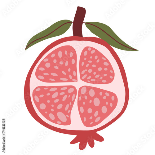 Vector illustration of pomegranate 
