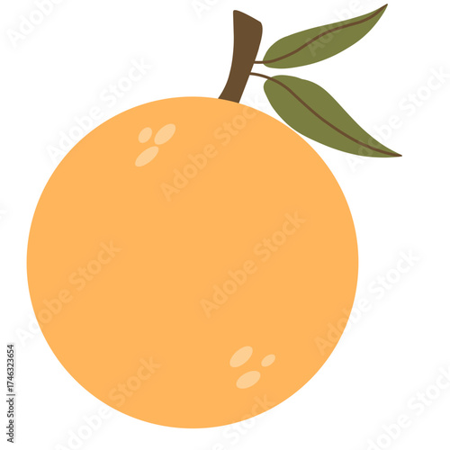 vector illustration of an orange with leaves