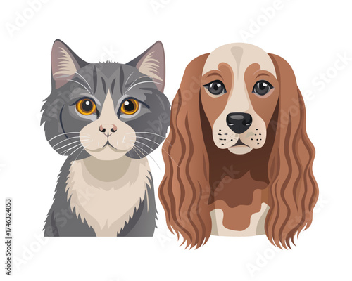 Portrait of a dog Russian Spaniel and cat Scottish Straight isolated on white background