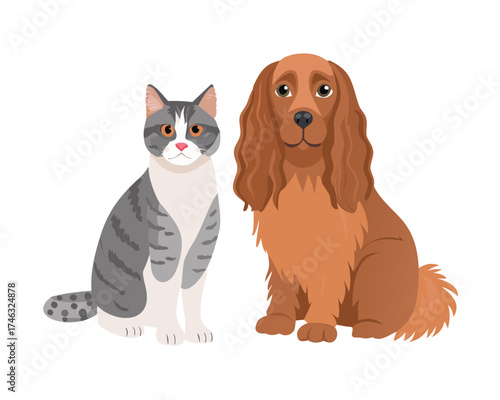 Portrait of a dog Russian Spaniel and cat Scottish Straight isolated on white background