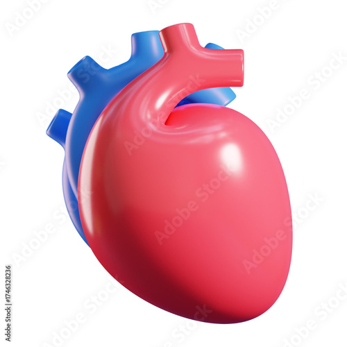 Anatomical illustration of a human heart, showing the major blood vessels in a 3D rendering.