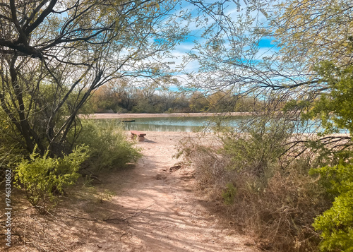 Path through the trees and brush leading to Quitobaquito Springs in the Organ Pipe Cactus National Monument next to the US-Mexico border outside Ajo, Arizona, USA