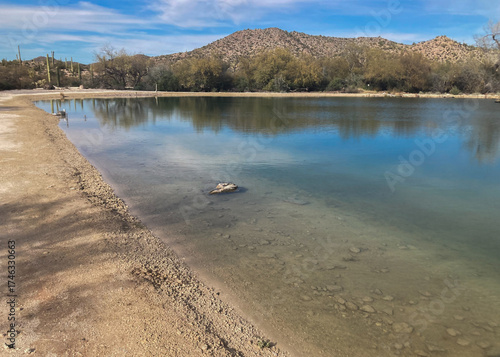 The shores of Quitobaquito Springs in the Organ Pipe Cactus National Monument next to the US-Mexico border outside of Ajo, Arizona, USA
