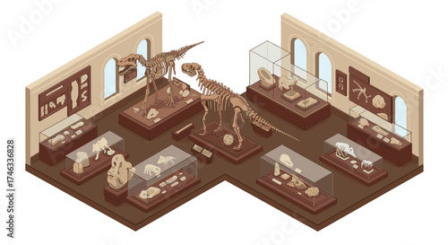 Isometric dinosaur exhibit featuring fossils in a natural history museum setting