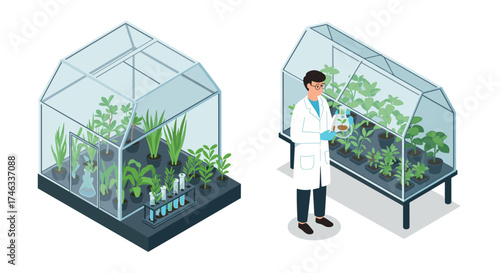 Greenhouse research and plant cultivation in modern laboratory setting with scientist