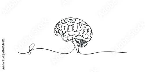 Continuous Line Drawing of Human Brain and Cerebellum