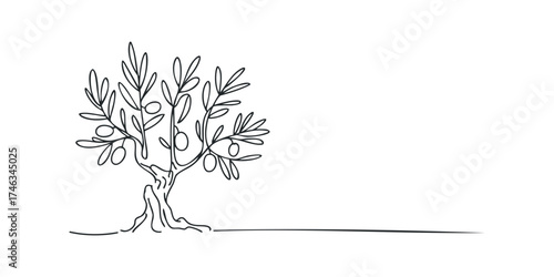 Minimalist Line Art Olive Tree with Fruit