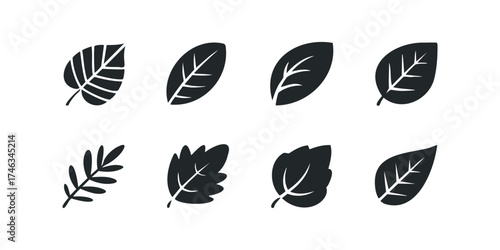 Collection of eight stylized leaf silhouettes in black