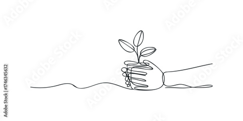 Hand holding small plant sprout in soil