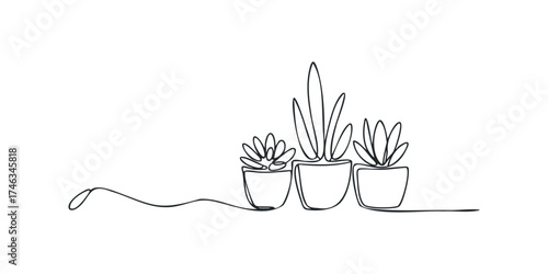 Line drawing of three potted succulent plants